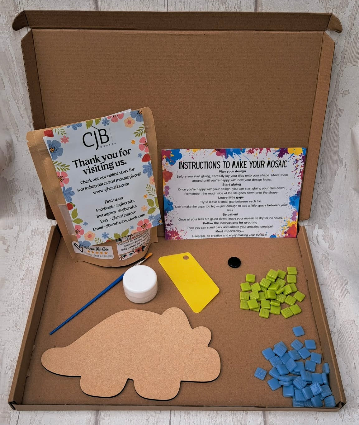 Dinosaur Children’s Kit