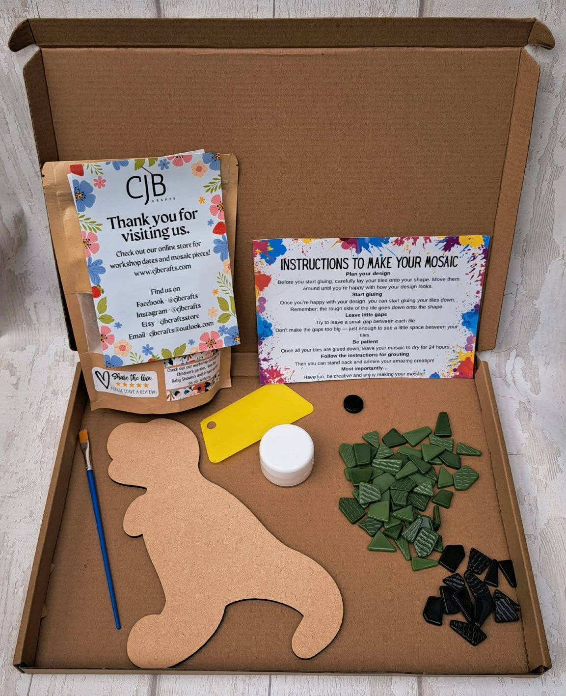 Dinosaur T-Rex Children’s Kit