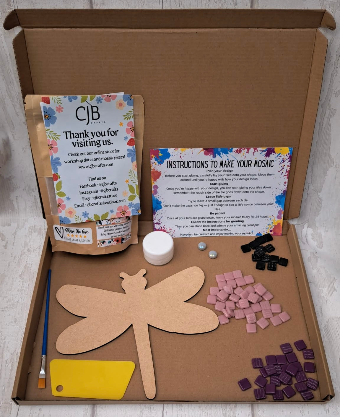 Dragonfly Children’s Kit