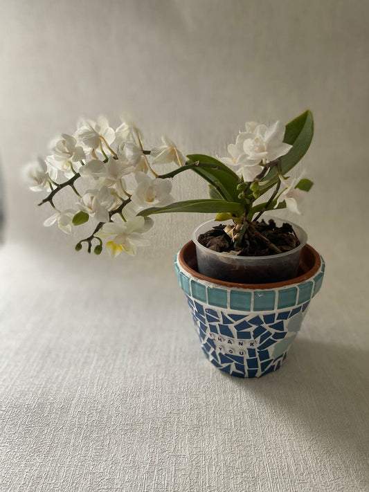 Mosaic Thank you Flower Pot