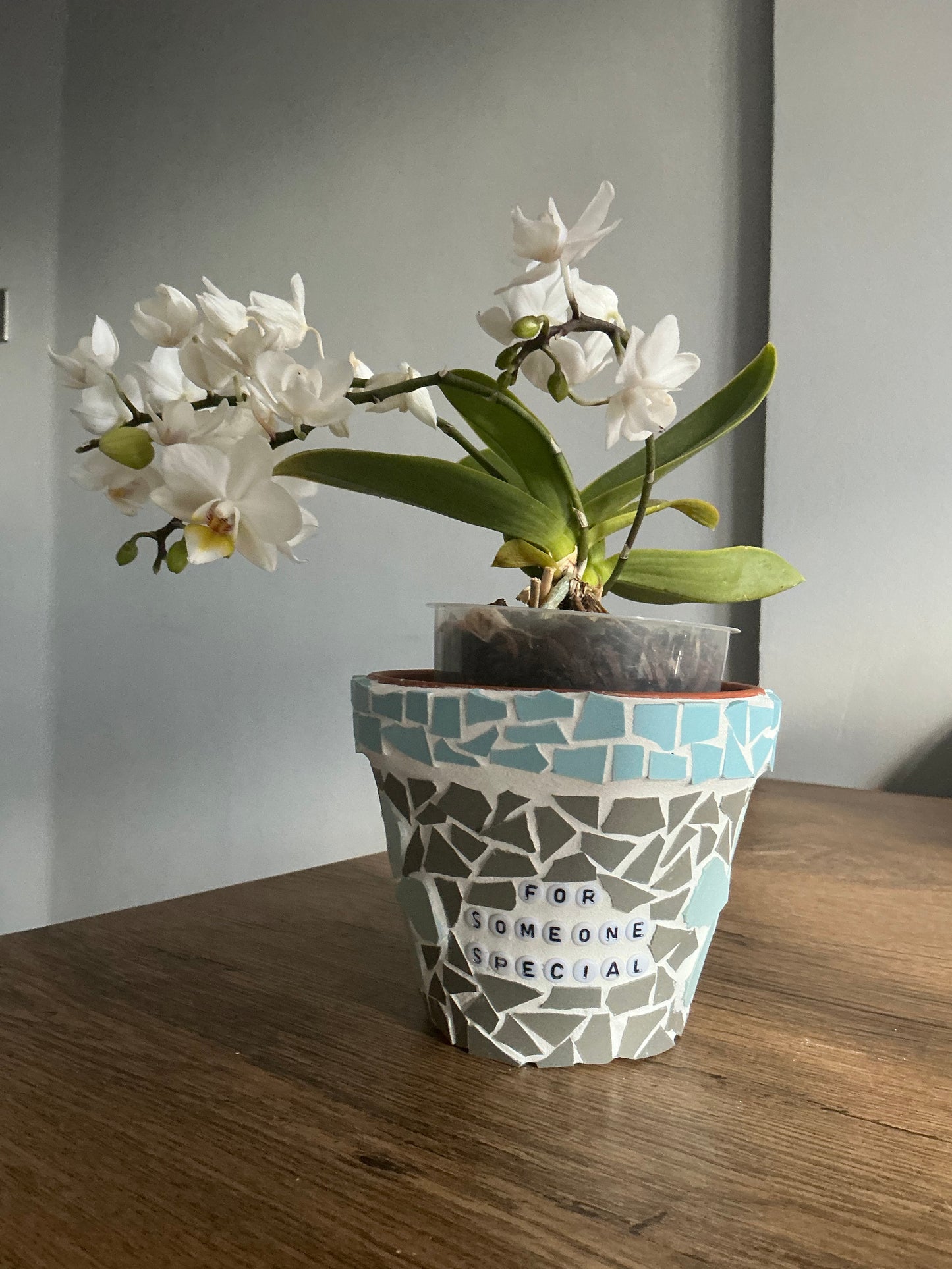 Mosaic Someone Special Flower Pot