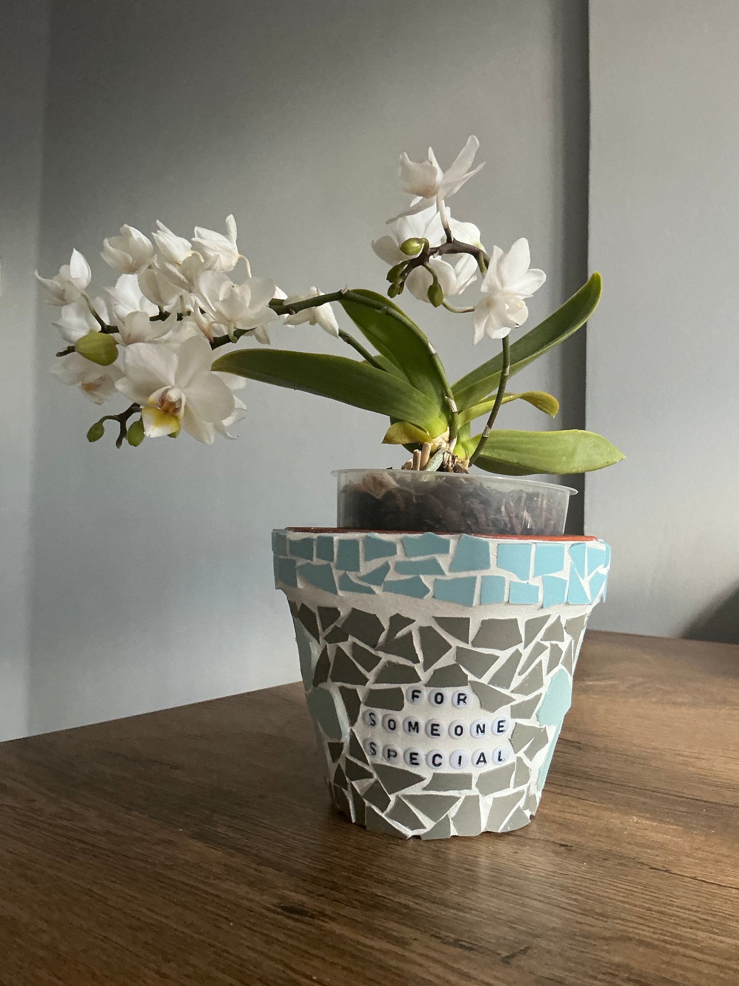 Mosaic Someone Special Flower Pot