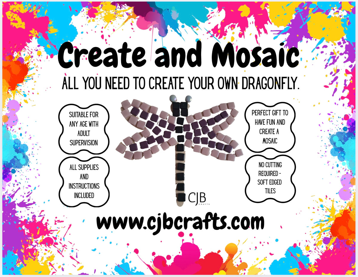 Dragonfly Children’s Kit